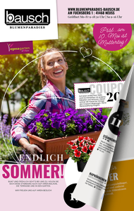 NBB Werbebeilage egH2 190 x 300mm Bausch web